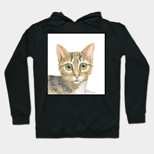 Cat 1 Hoodie